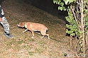 VBS_6418 - Inaugurazione Stagione 2022-23 Simulazione Ricerca Tartufo